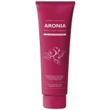 Шампунь с экстрактом аронии для окрашенных волос EVAS Pedison Institut-beaute Aronia Color Protection Shampoo 100 мл