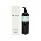 Аюрведический шампунь с черным тмином EVAS Valmona Ayurvedic Scalp Solution Black Cumin Shampoo 480 мл