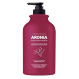 Шампунь с экстрактом аронии для окрашенных волос EVAS Pedison Institut-beaute Aronia Color Protection Shampoo 500 мл