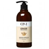 Глубоко очищающий шампунь для волос с экстрактом имбиря Esthetic House CP-1 Ginger Purifying Shampoo 500 мл