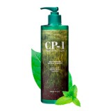 Натуральный увлажняющий шампунь для волос Esthetic House CP-1 Daily Moisture Natural Shampoo 500 мл