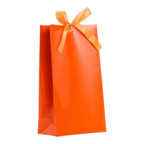 Пакет подарочный с лентой «Красный» 13 х 23 х 7 см Пакет подарочный с лентой «Красный» 13 х 23 х 7 см