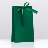 Пакет подарочный с лентой «Зелёный» 13 х 23 х 7 см