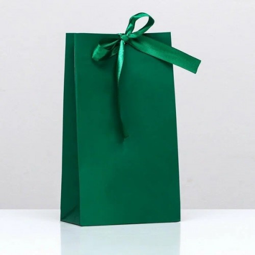 Пакет подарочный с лентой «Зелёный» 13 х 23 х 7 см Пакет подарочный с лентой «Зелёный» 13 х 23 х 7 см